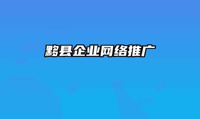 黟县企业网络推广