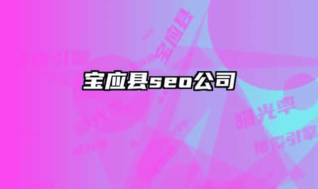宝应县seo公司