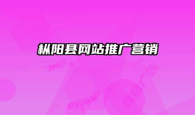 枞阳县网站推广营销