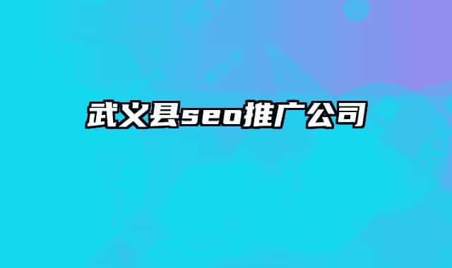 武义县seo推广公司