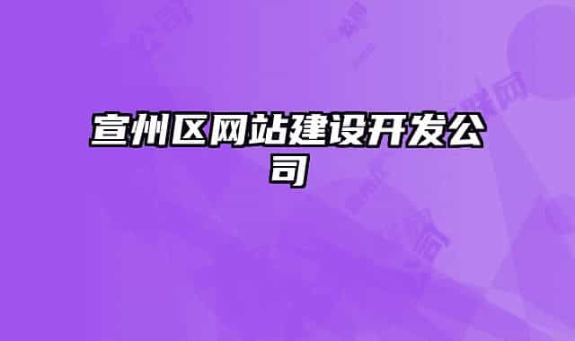 宣州区网站建设开发公司