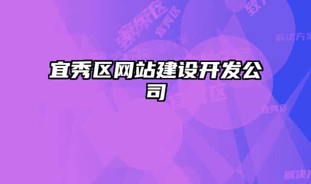 宜秀区网站建设开发公司