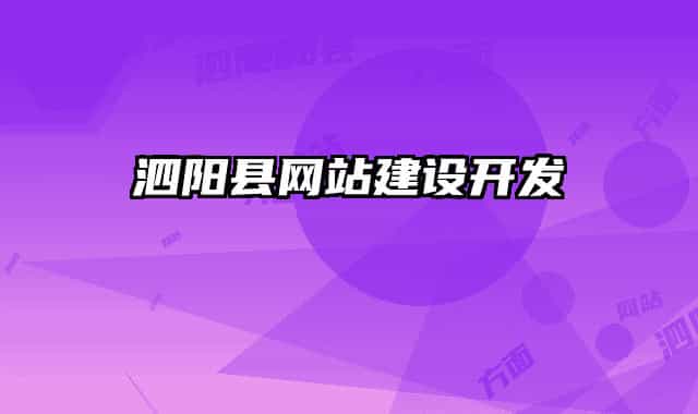 泗阳县网站建设开发