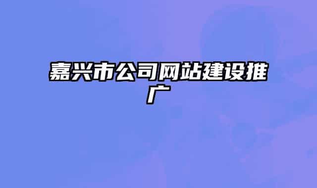 嘉兴市公司网站建设推广
