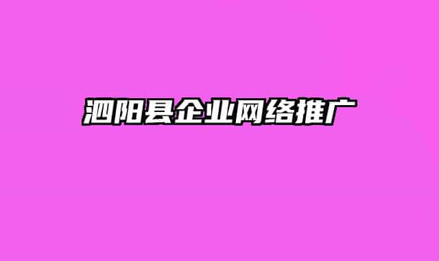 泗阳县企业网络推广