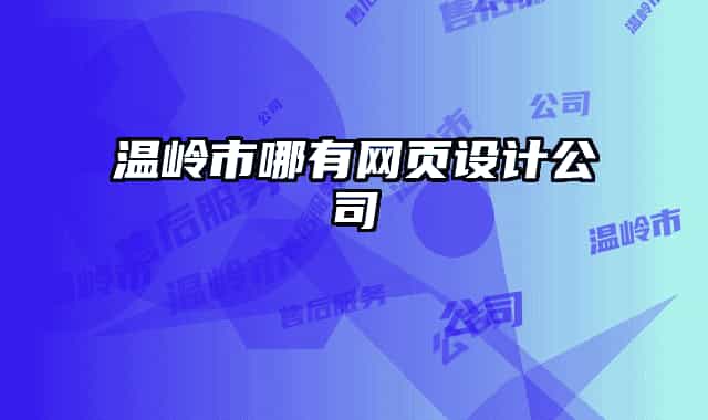 温岭市哪有网页设计公司
