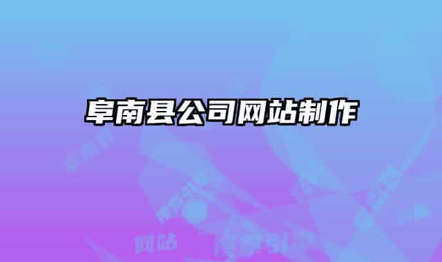 阜南县公司网站制作