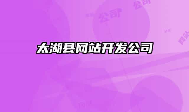 太湖县网站开发公司