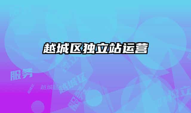 越城区独立站运营