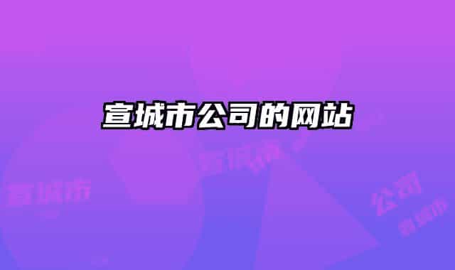 宣城市公司的网站
