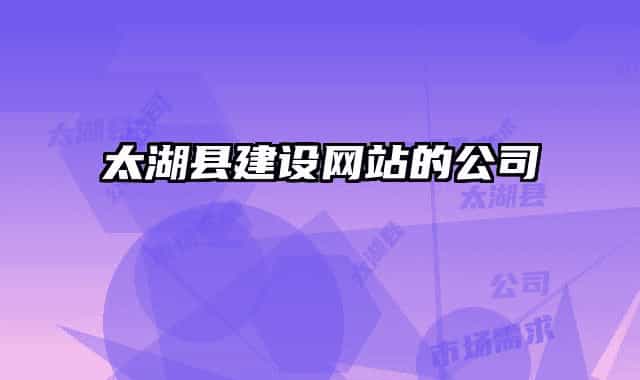 太湖县建设网站的公司