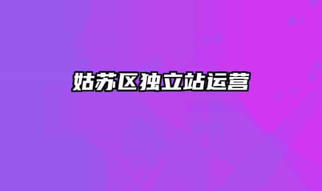 姑苏区独立站运营