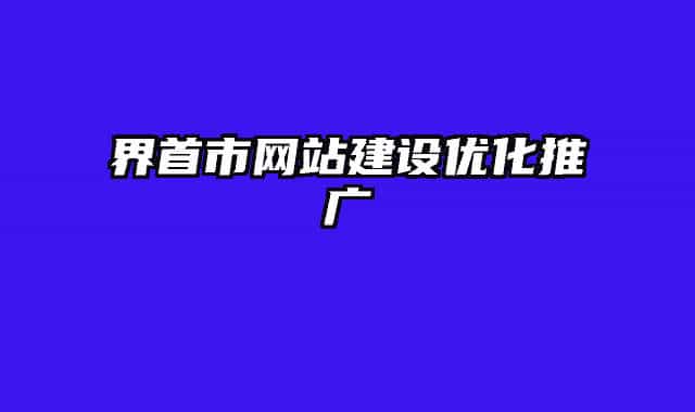 界首市网站建设优化推广