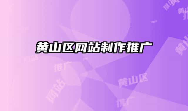 黄山区网站制作推广