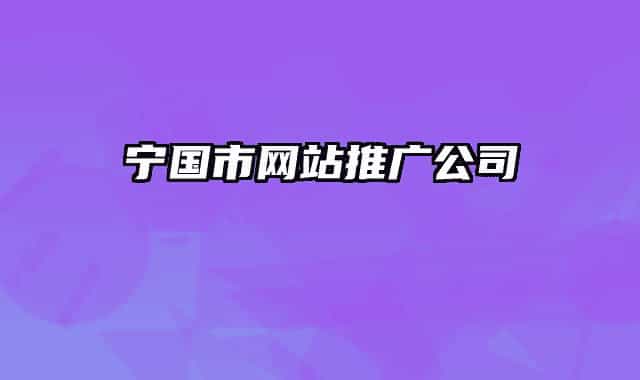 宁国市网站推广公司