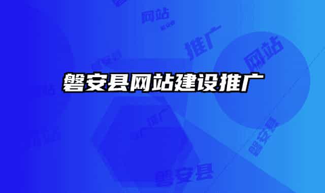 磐安县网站建设推广