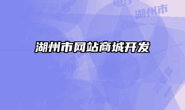 湖州市网站商城开发