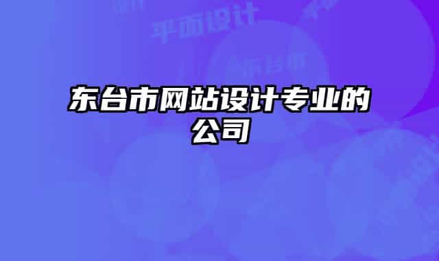 东台市网站设计专业的公司