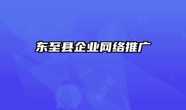 东至县企业网络推广