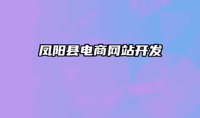 凤阳县电商网站开发