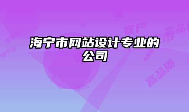 海宁市网站设计专业的公司