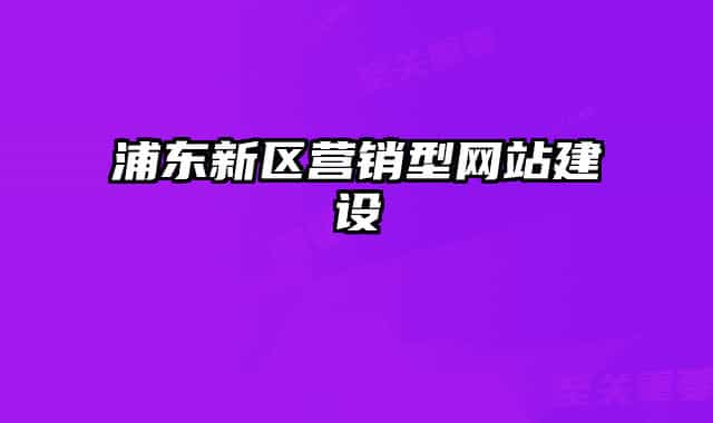 浦东新区营销型网站建设