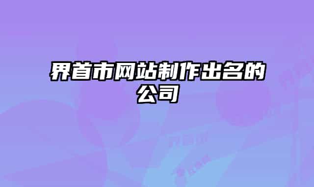 界首市网站制作出名的公司