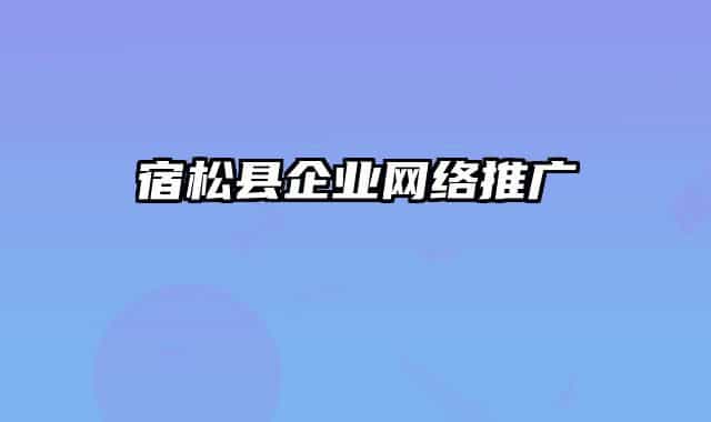 宿松县企业网络推广
