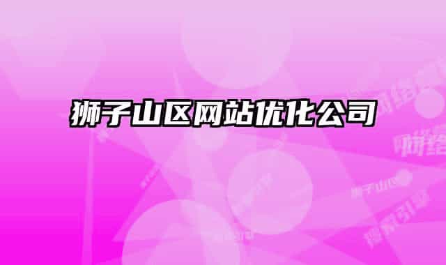 狮子山区网站优化公司