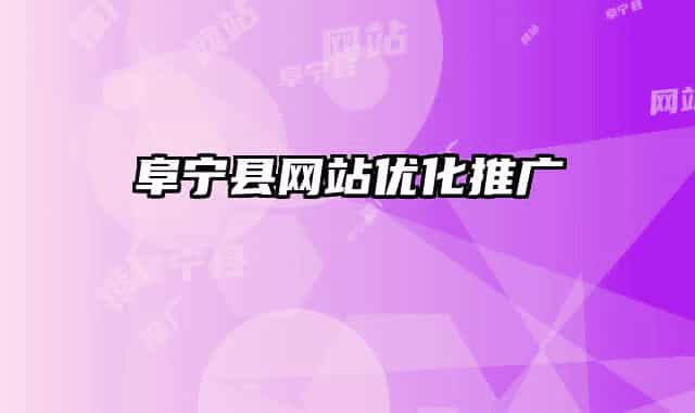 阜宁县网站优化推广