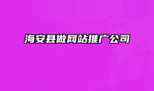海安县做网站推广公司