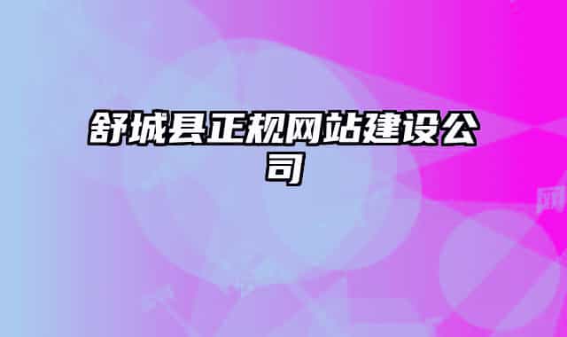 舒城县正规网站建设公司