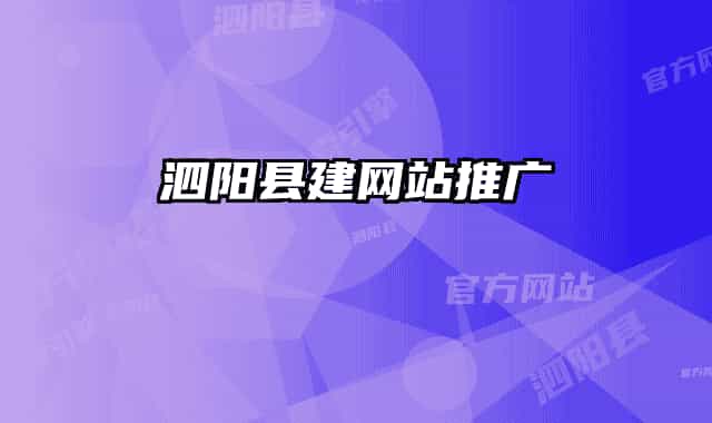 泗阳县建网站推广