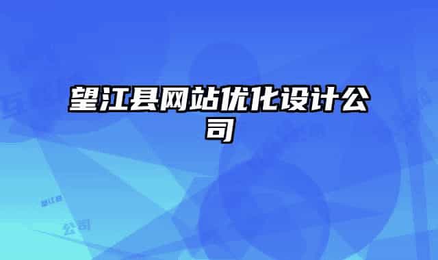 望江县网站优化设计公司