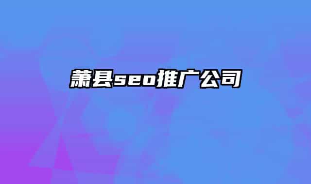 萧县seo推广公司