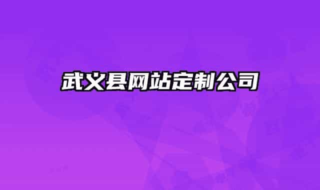 武义县网站定制公司