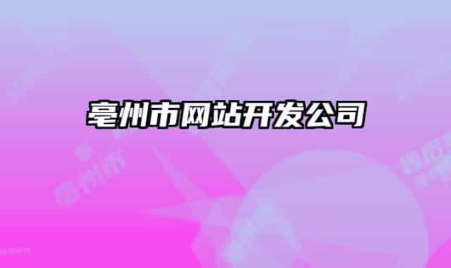 亳州市网站开发公司