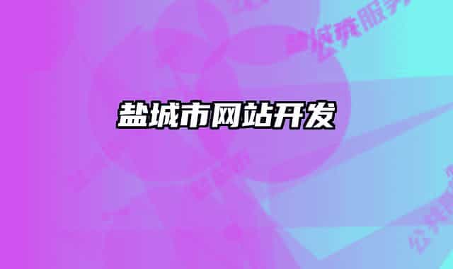 盐城市网站开发