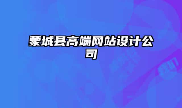 蒙城县高端网站设计公司