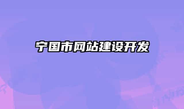 宁国市网站建设开发