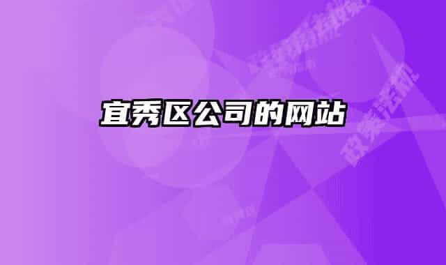 宜秀区公司的网站