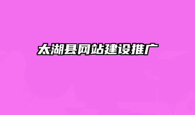 太湖县网站建设推广