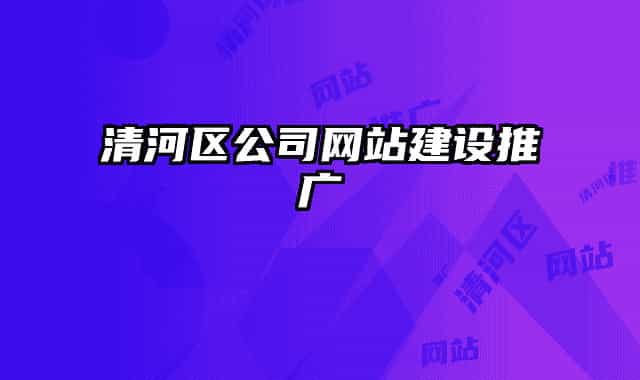 清河区公司网站建设推广