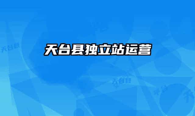 天台县独立站运营
