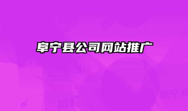 阜宁县公司网站推广
