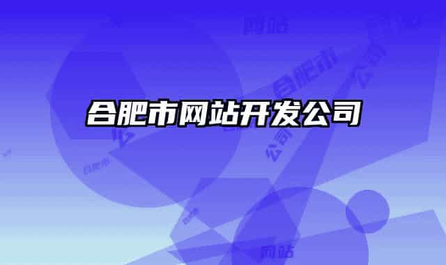 合肥市网站开发公司