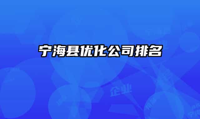 宁海县优化公司排名