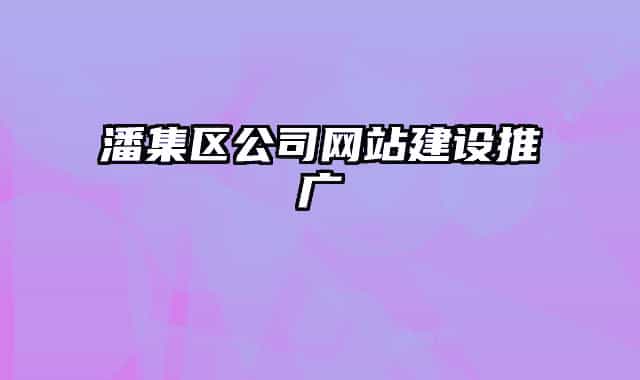 潘集区公司网站建设推广