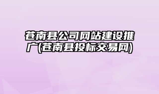 苍南县公司网站建设推广(苍南县投标交易网)