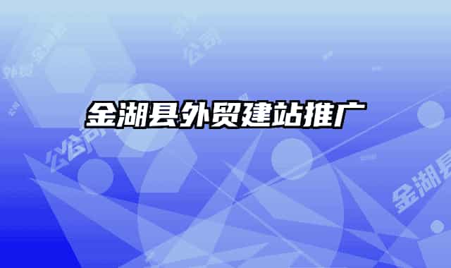 金湖县外贸建站推广